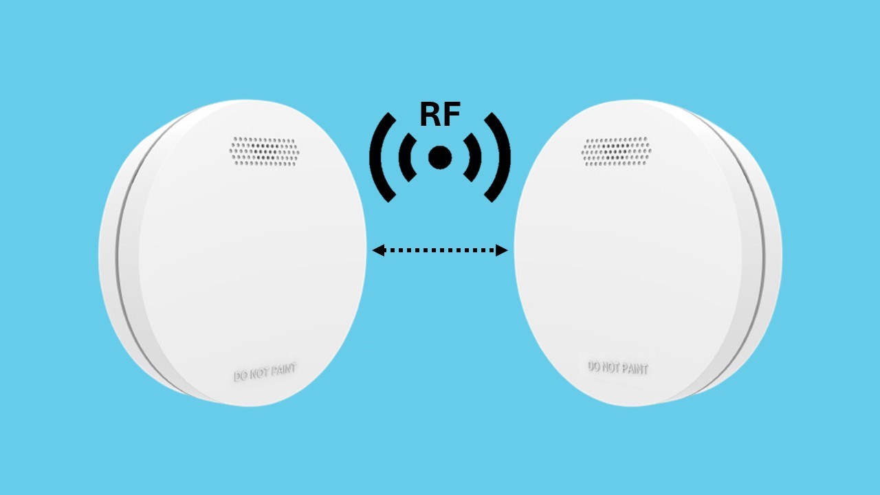 Why ZEN is the best choice!